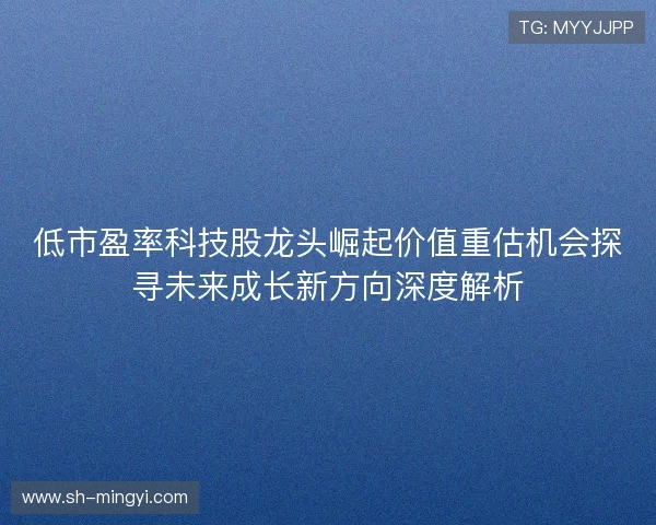 低市盈率科技股龙头崛起价值重估机会探寻未来成长新方向深度解析 低市盈率科技股龙头崛起价值重估机会探寻未来成长新方向深度解析